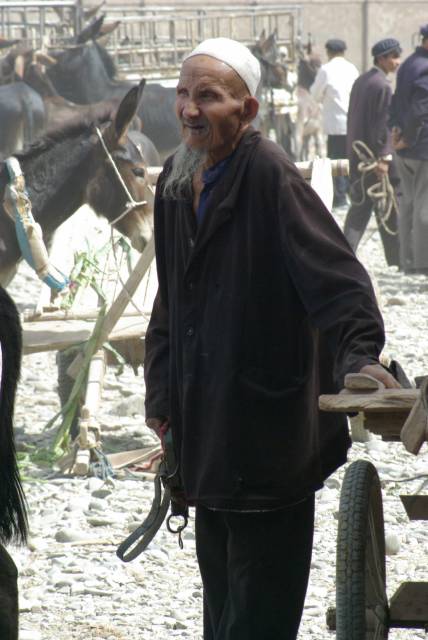 Kashgar (Kashi) Animal Market,Xinjiang, China pictures