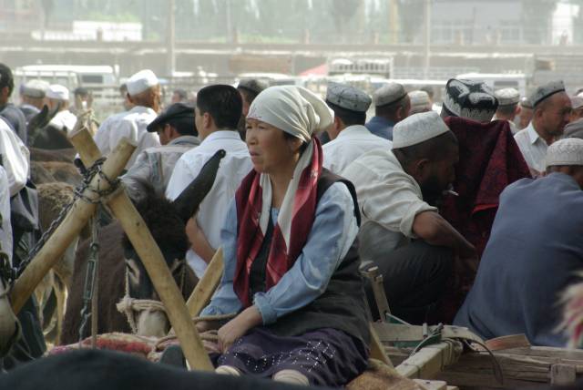 Kashgar (Kashi) Animal Market,Xinjiang, China pictures