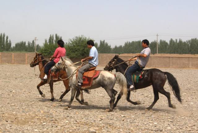 Kashgar (Kashi) Animal Market,Xinjiang, China pictures