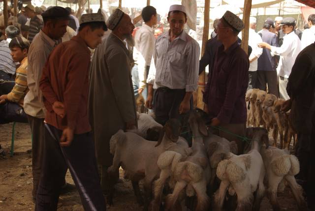 Kashgar (Kashi) Animal Market,Xinjiang, China pictures