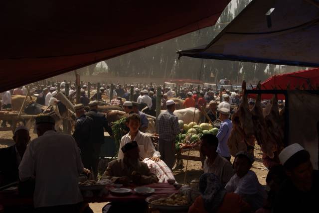 Kashgar (Kashi) Animal Market,Xinjiang, China pictures