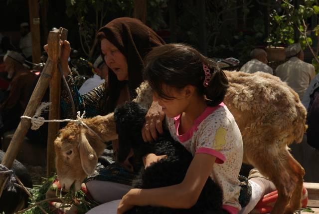 Kashgar (Kashi) Animal Market,Xinjiang, China pictures