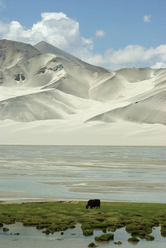 Kashgar (Kashi),Xinjiang, China pictures